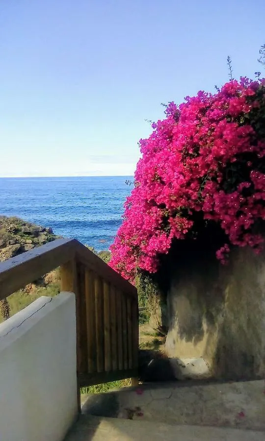 La Pardela Oceanfront Apartment Los Realejos