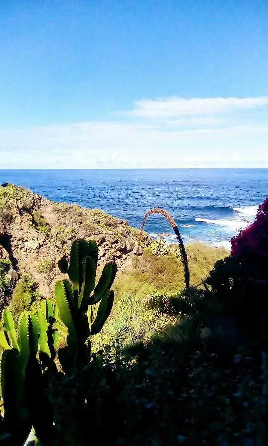 Apartmán La Pardela Oceanfront Los Realejos